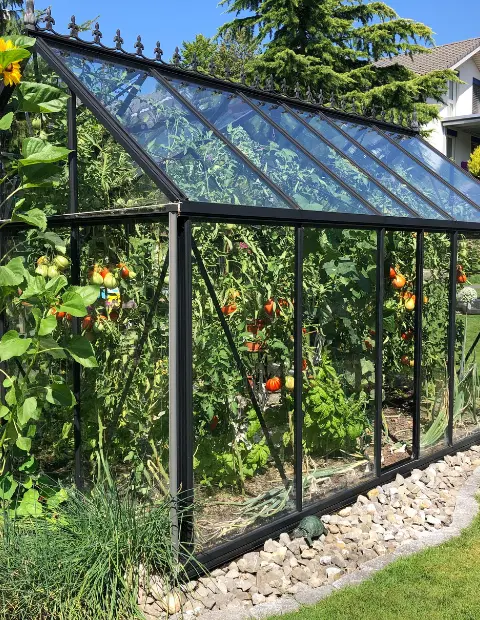 Greenhouse glass repair by P Fahy Glazing Ltd, restoring clear and safe panels for gardens in Wicklow and Dublin.